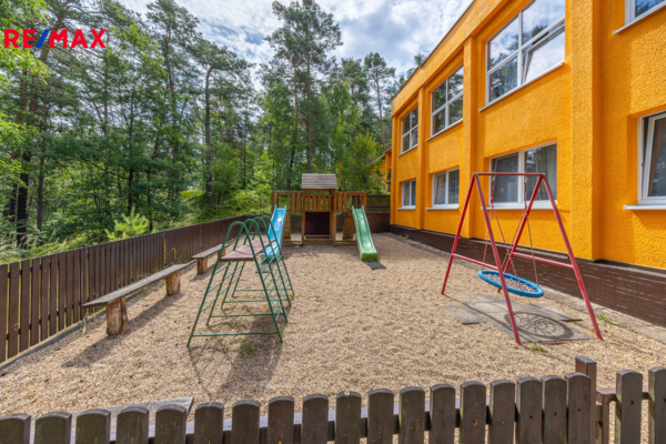 REMAX Delux