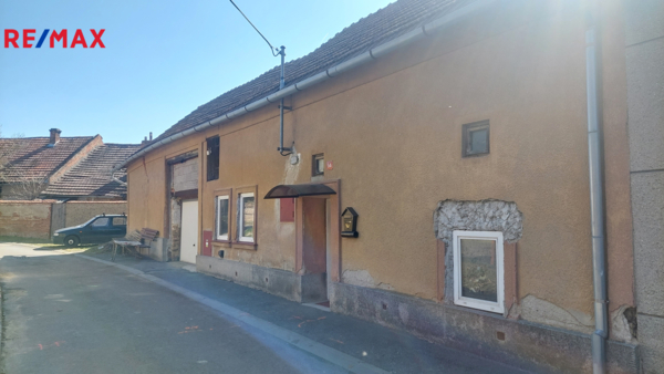 REMAX Delux