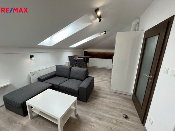 REMAX Delux