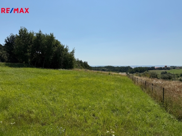 Prodej pozemku pro bydlení, 2168 m2, Olšany