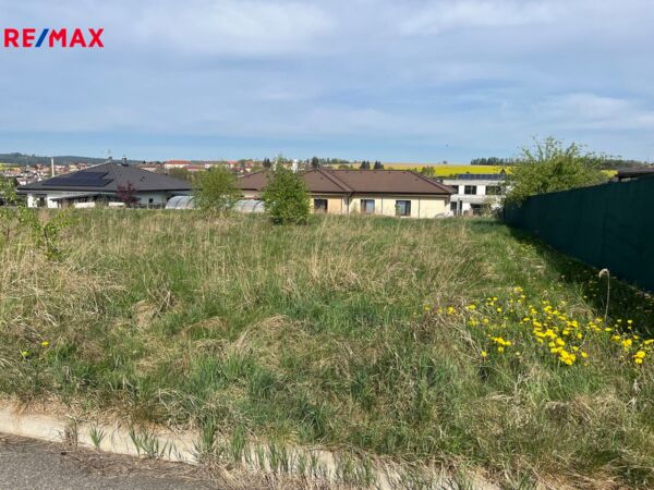 REMAX Delux