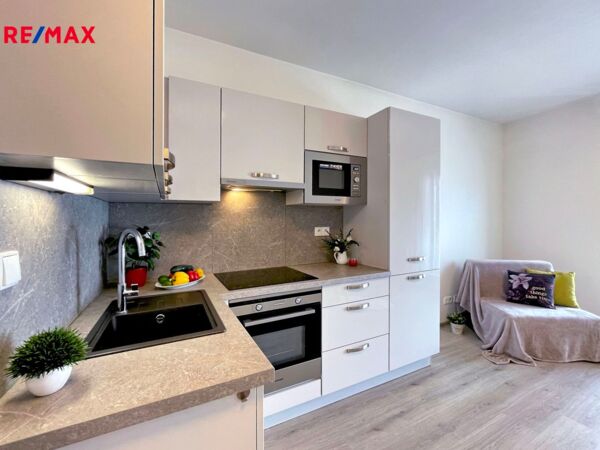 REMAX Delux