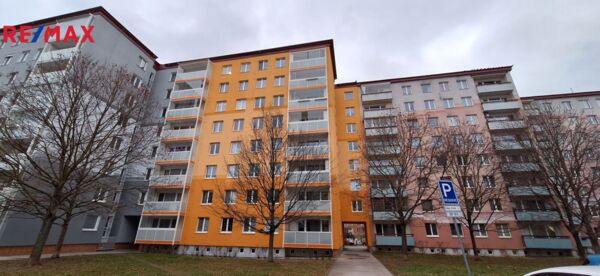 2735609.jpg