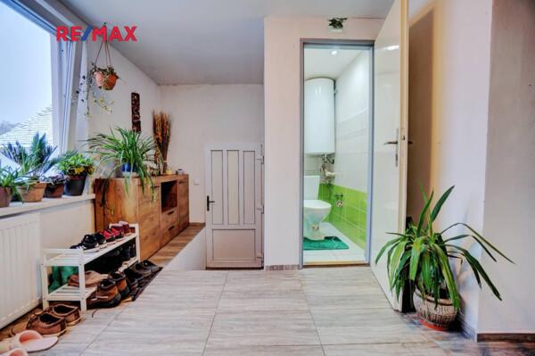 REMAX Delux