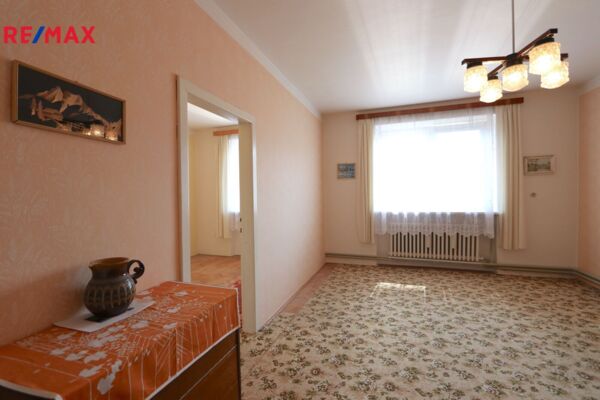 REMAX Delux
