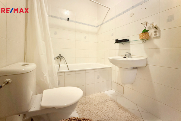 REMAX Delux