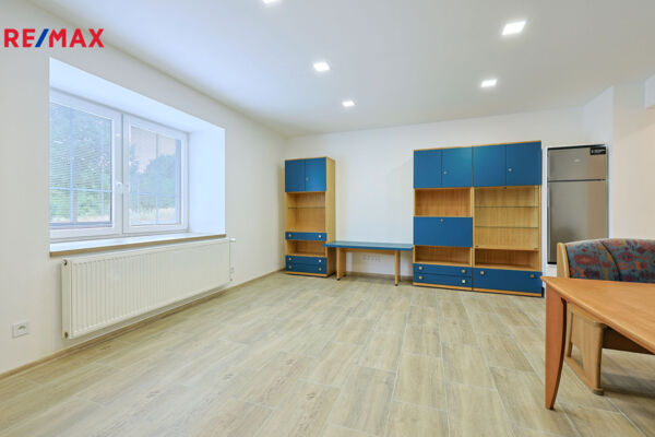 REMAX Delux