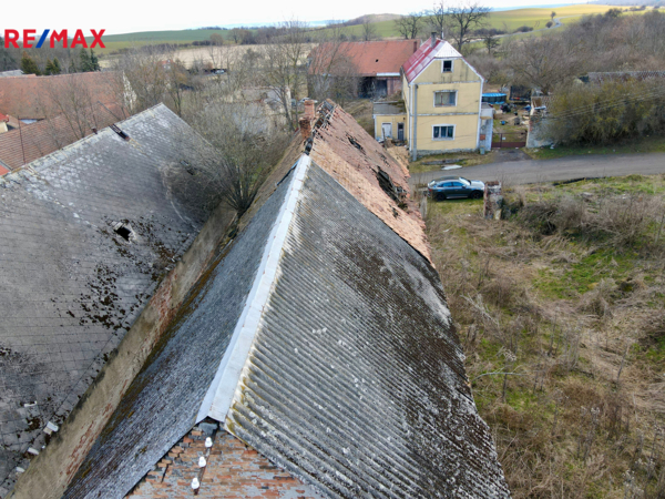REMAX Delux