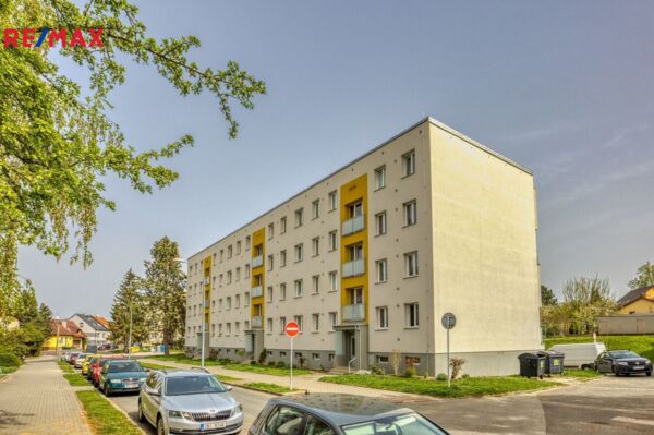 2683166.jpg