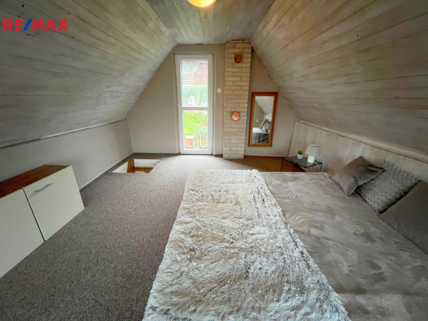 REMAX Delux
