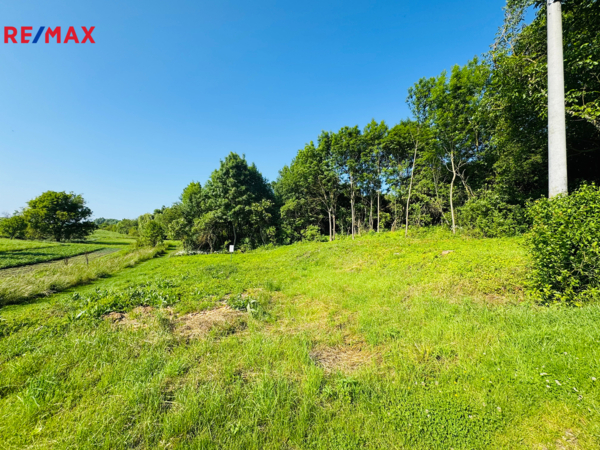 REMAX Brno