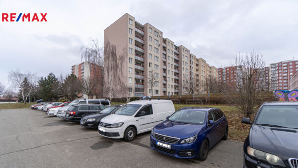 REMAX Delux