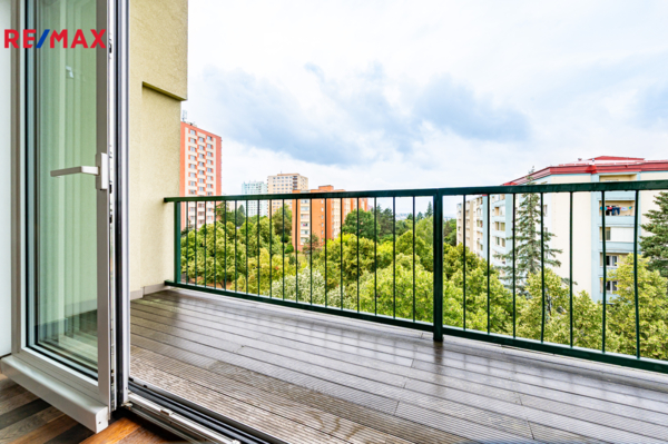 REMAX Delux
