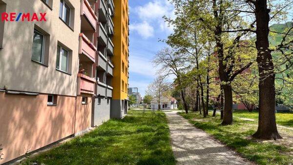 Práce v realitách Brno
