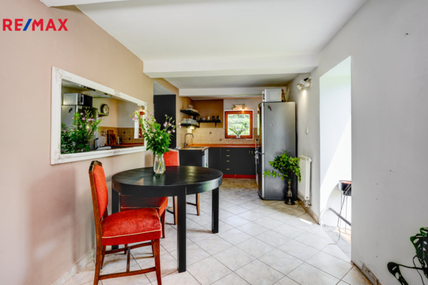 REMAX Delux