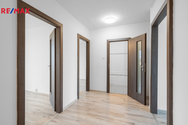 REMAX Delux