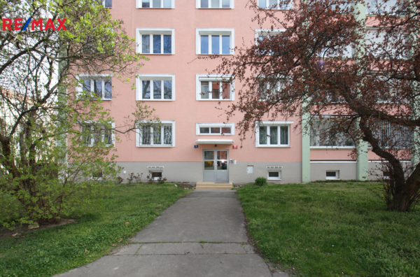 2762012.jpg