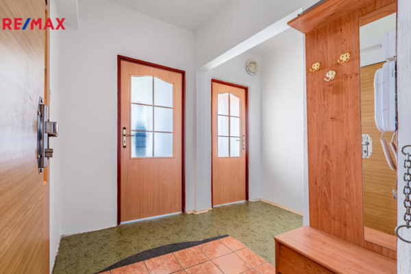 REMAX Delux