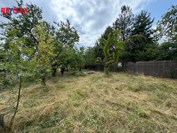 REMAX Brno