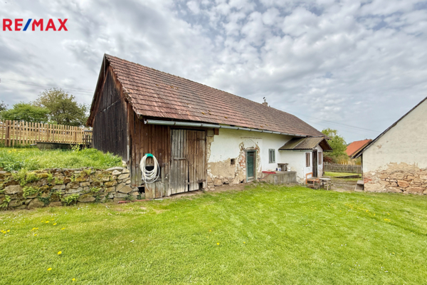 REMAX Delux