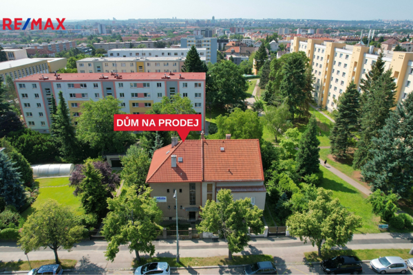 REMAX Delux