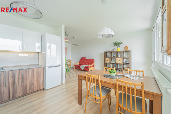 REMAX Delux