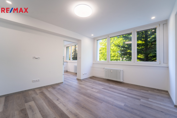 REMAX Brno