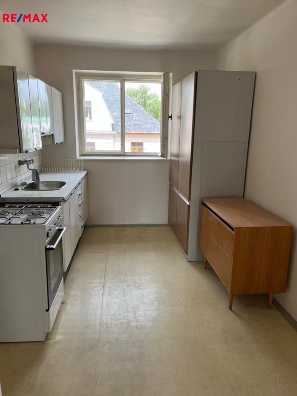 REMAX Delux