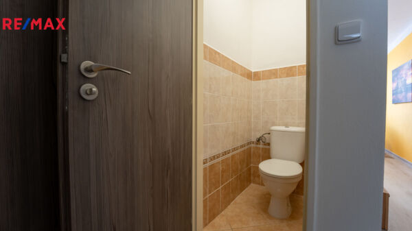 REMAX Delux