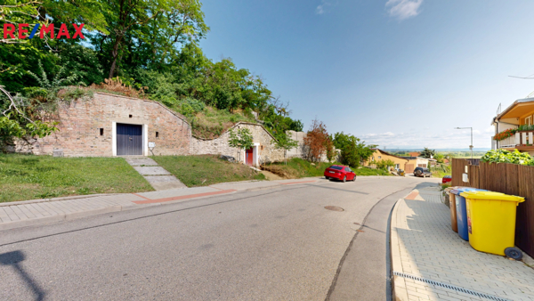 REMAX Delux