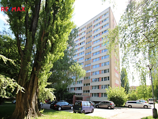 2807196.jpg