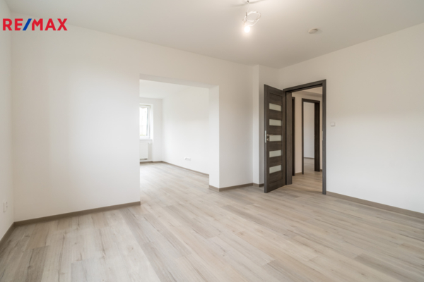 REMAX Delux