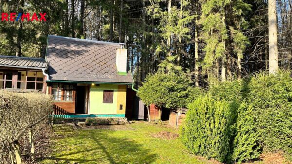 REMAX Delux