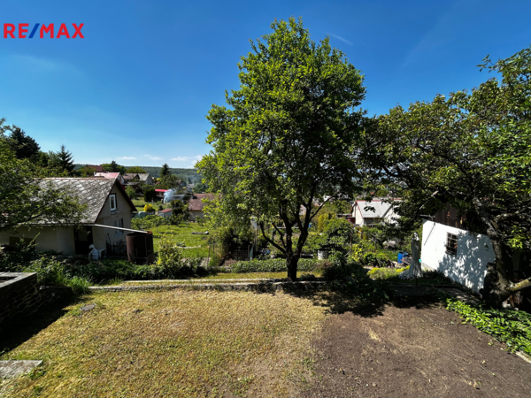 REMAX Delux
