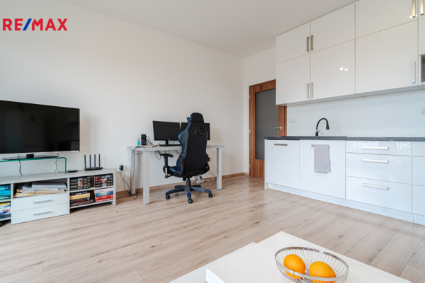 REMAX Delux