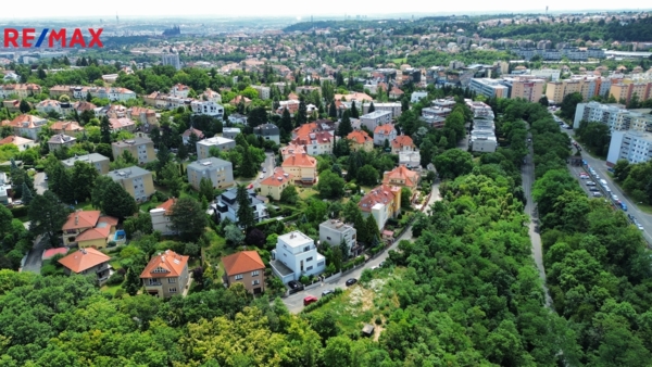 REMAX Delux