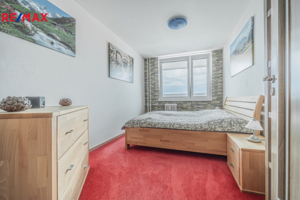 REMAX Delux