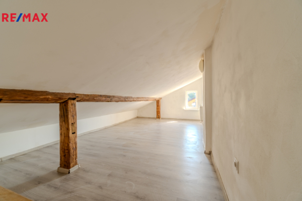 REMAX Delux