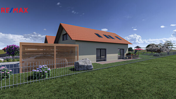 REMAX Delux