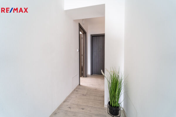 REMAX Delux