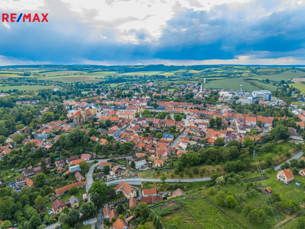 REMAX Delux