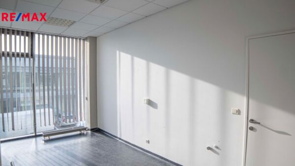 REMAX Delux