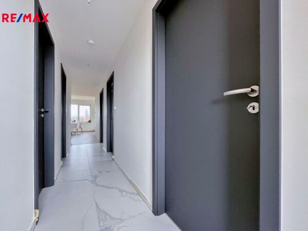REMAX Delux