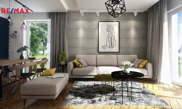 REMAX Delux