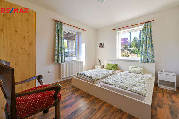 REMAX Delux