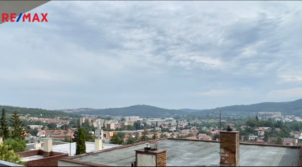 REMAX Delux