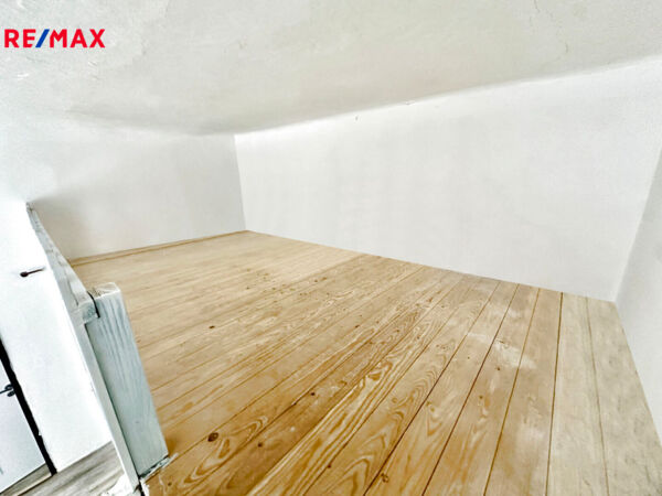 REMAX Delux