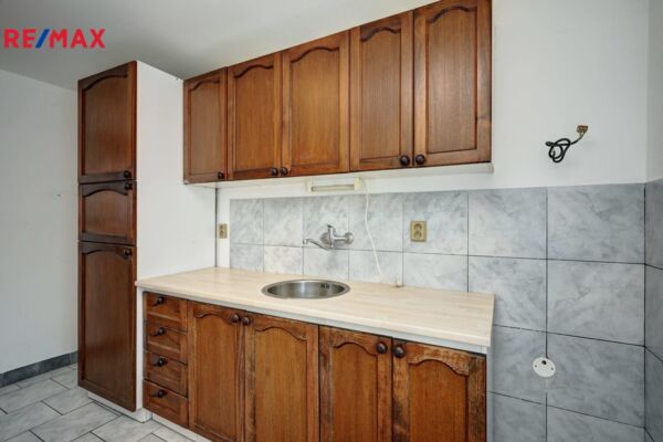 REMAX Delux