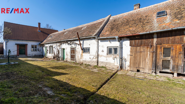 REMAX Delux