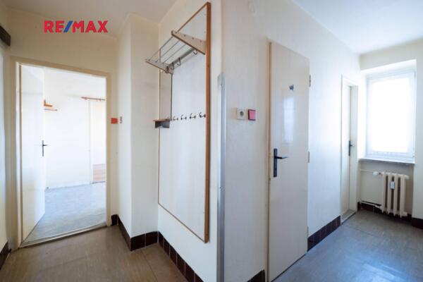 REMAX Delux